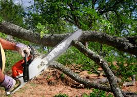 Best Pest Control for Lawns  in Le Claire, IA